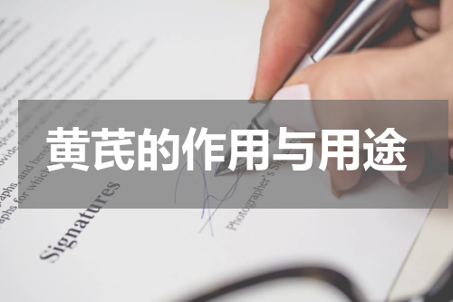 黄芪的作用与用途