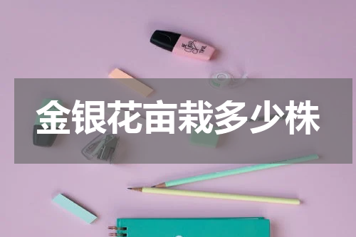 金银花亩栽多少株