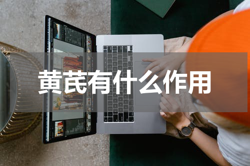 黄芪有什么作用