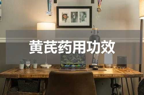 黄芪药用功效