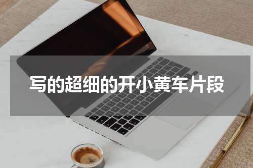 写的超细的开小黄车片段
