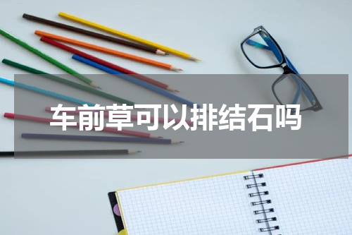 车前草可以排结石吗