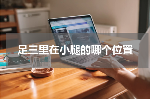 足三里在小腿的哪个位置