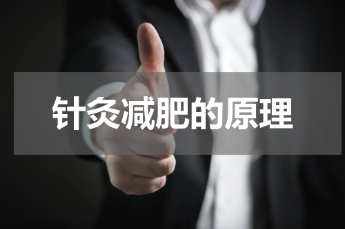 针灸减肥的原理