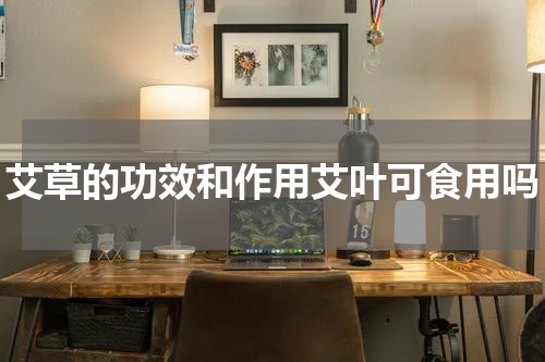 艾草的功效和作用艾叶可食用吗