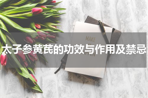 太子参黄芪的功效与作用及禁忌