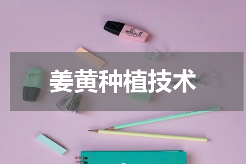 姜黄种植技术