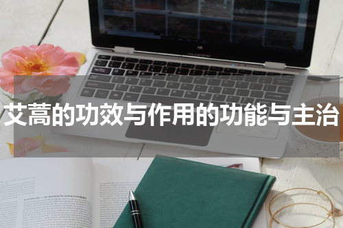 艾蒿的功效与作用的功能与主治
