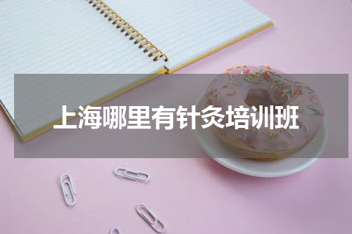 上海哪里有针灸培训班