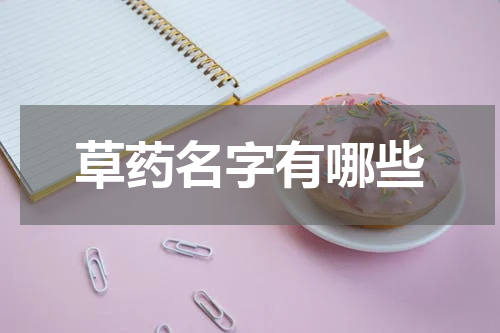 草药名字有哪些