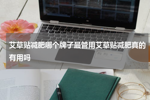 艾草贴减肥哪个牌子最管用艾草贴减肥真的有用吗