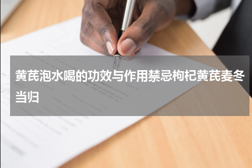 黄芪泡水喝的功效与作用禁忌枸杞黄芪麦冬当归