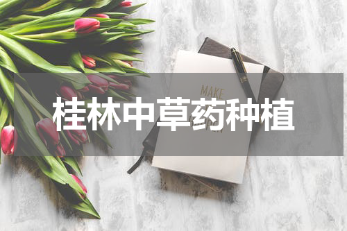 桂林中草药种植