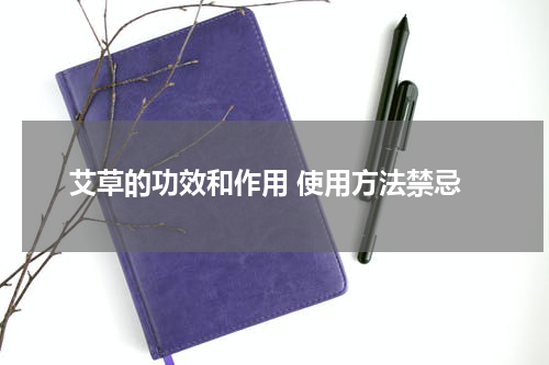 艾草的功效和作用 使用方法禁忌