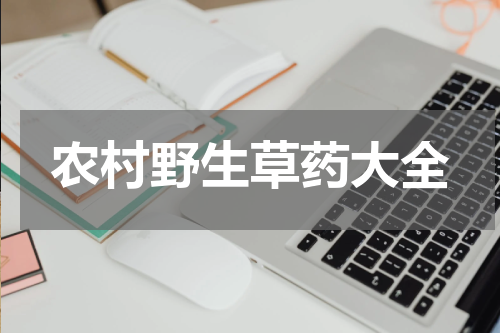 农村野生草药大全
