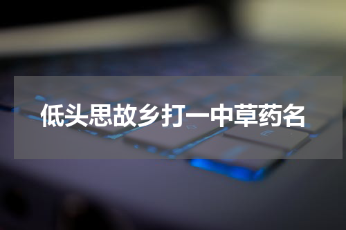低头思故乡打一中草药名