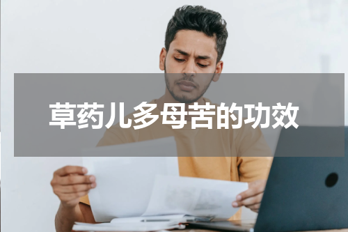草药儿多母苦的功效