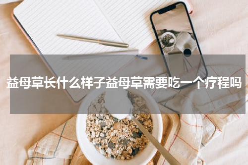 益母草长什么样子益母草需要吃一个疗程吗