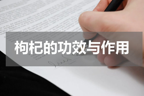 枸杞的功效与作用