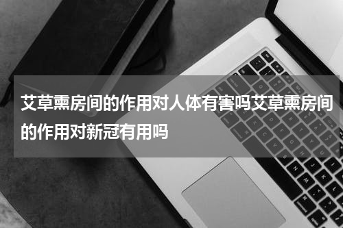 艾草熏房间的作用对人体有害吗艾草熏房间的作用对新冠有用吗