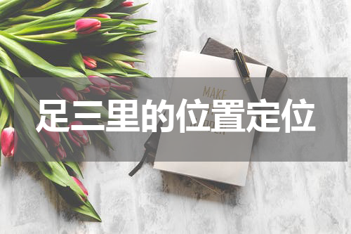 足三里的位置定位