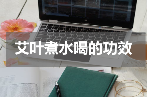 艾叶煮水喝的功效