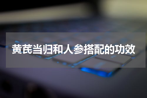 黄芪当归和人参搭配的功效