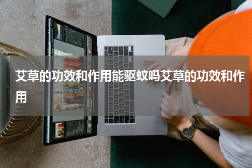 艾草的功效和作用能驱蚊吗艾草的功效和作用