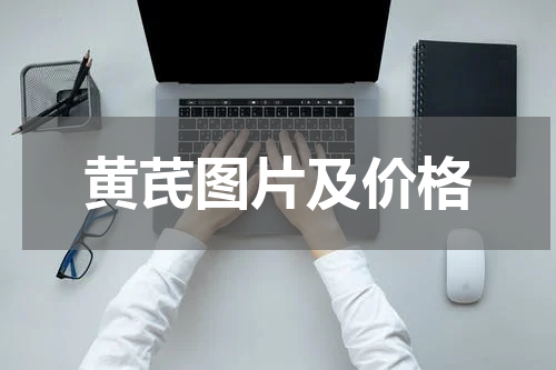 黄芪图片及价格