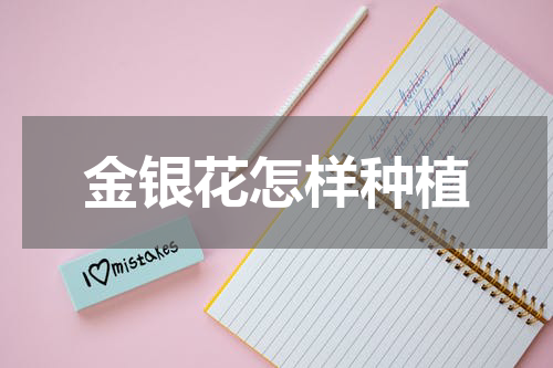 金银花怎样种植