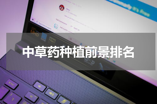 中草药种植前景排名