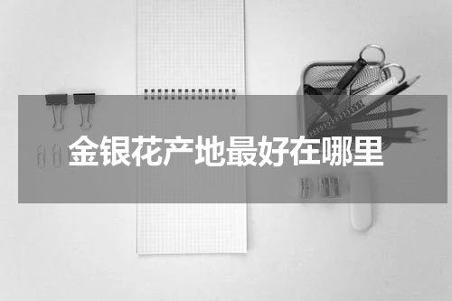金银花产地最好在哪里