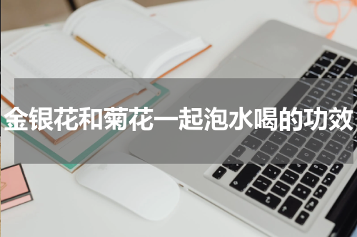 金银花和菊花一起泡水喝的功效