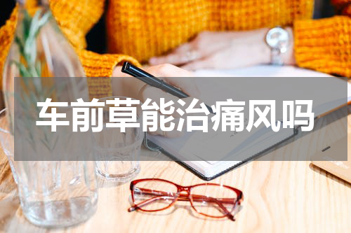 车前草能治痛风吗