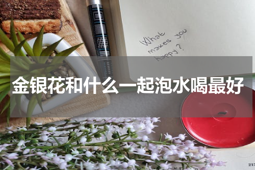 金银花和什么一起泡水喝最好