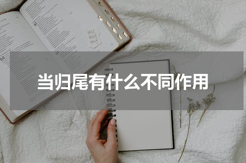 当归尾有什么不同作用