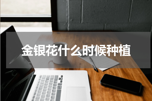 金银花什么时候种植