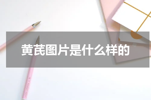 黄芪图片是什么样的
