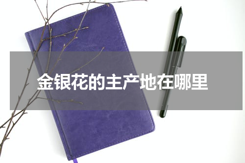金银花的主产地在哪里