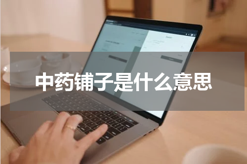 中药铺子是什么意思