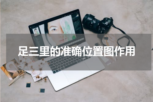 足三里的准确位置图作用