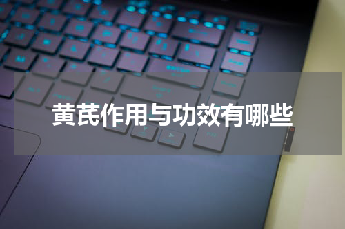 黄芪作用与功效有哪些