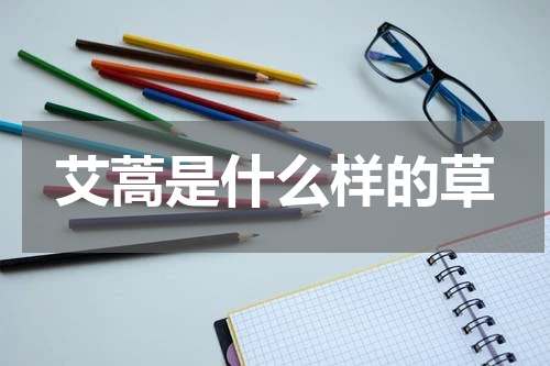 艾蒿是什么样的草