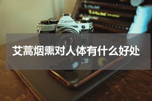 艾蒿烟熏对人体有什么好处
