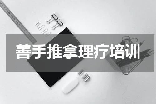 善手推拿理疗培训