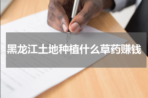 黑龙江土地种植什么草药赚钱