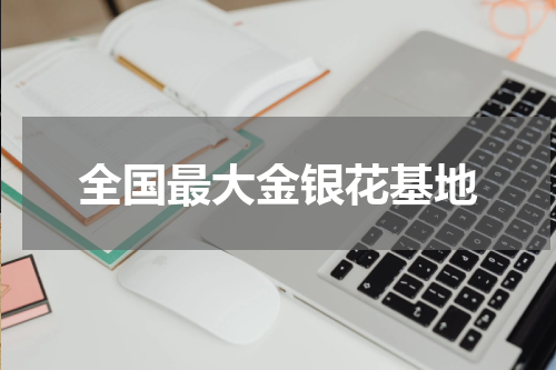 全国最大金银花基地