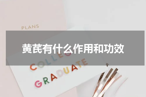 黄芪有什么作用和功效