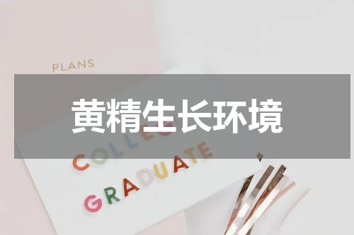 黄精生长环境