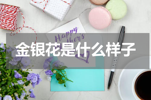 金银花是什么样子